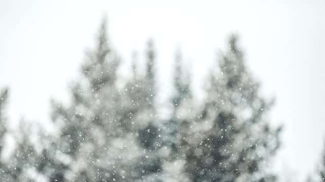 Skiing in Poor Visibility