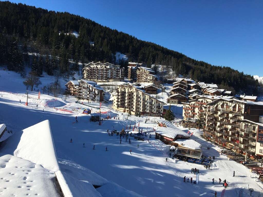 Latania-in-distance